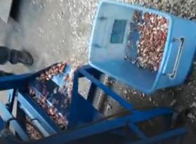 花生剝殼機視頻